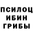 Галлюциногенные грибы Psilocybine cubensis Cyndi Lushia