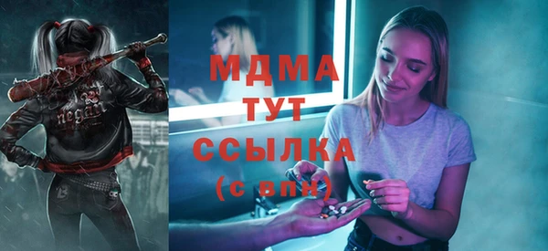 спиды Бородино