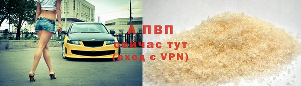 спиды Бородино