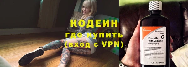 спиды Бородино