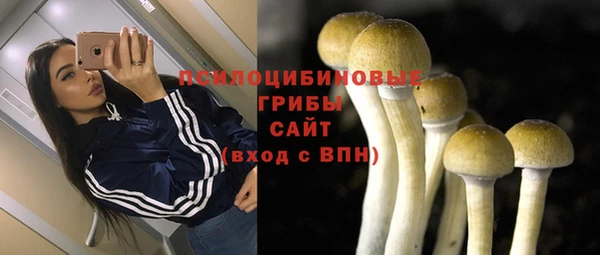 тгк Бронницы