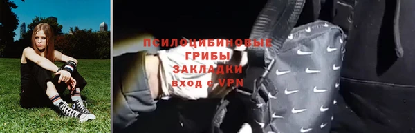 спиды Бородино