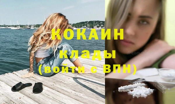 тгк Бронницы