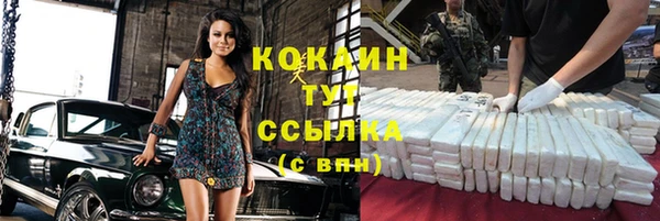 спиды Бородино