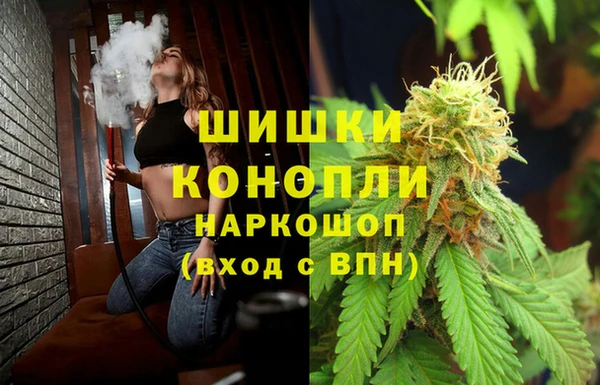 тгк Бронницы